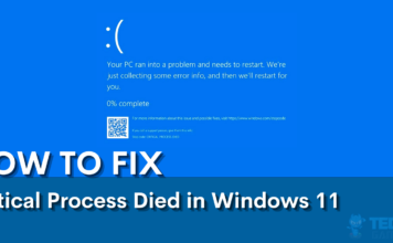 Critical Process Died in Windows 11